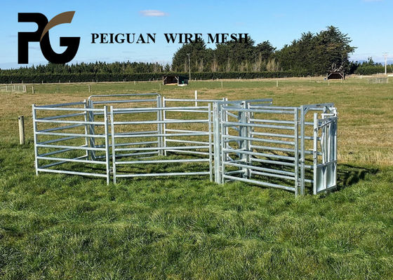 Portable Steel Cattle Yard Panels