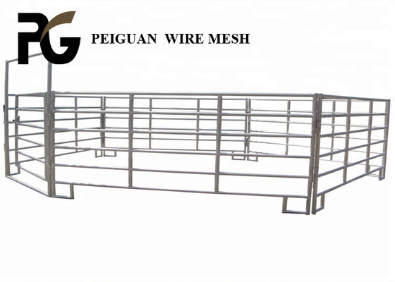 Stützbarer 1.6x2.1m Metallzaun-Panels For Livestock-Antikorrosion